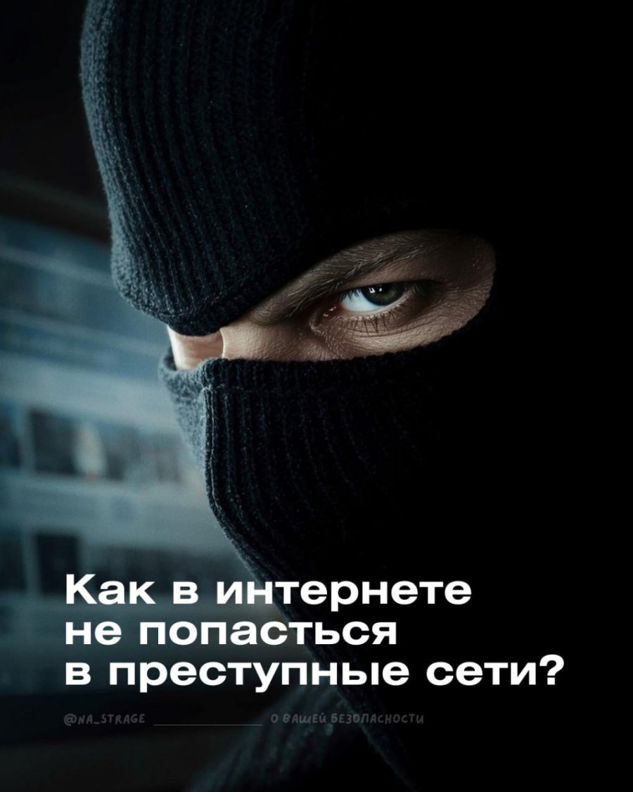 Как в интернете не попасться в преступные сети