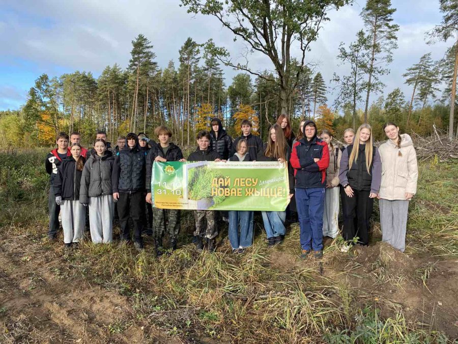 🌱 «Дай лесу новае жыццё» — дело сердца и будущего! 🌲