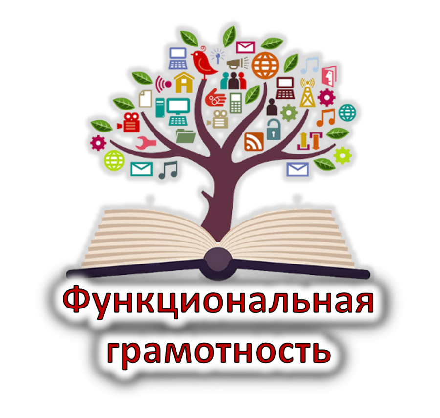 Дипломы и сертификаты участников онлайн-олимпиады с международным участием по функциональной грамотности 