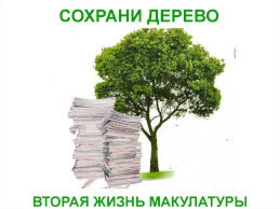 «Сохрани дерево – сдай макулатуру»