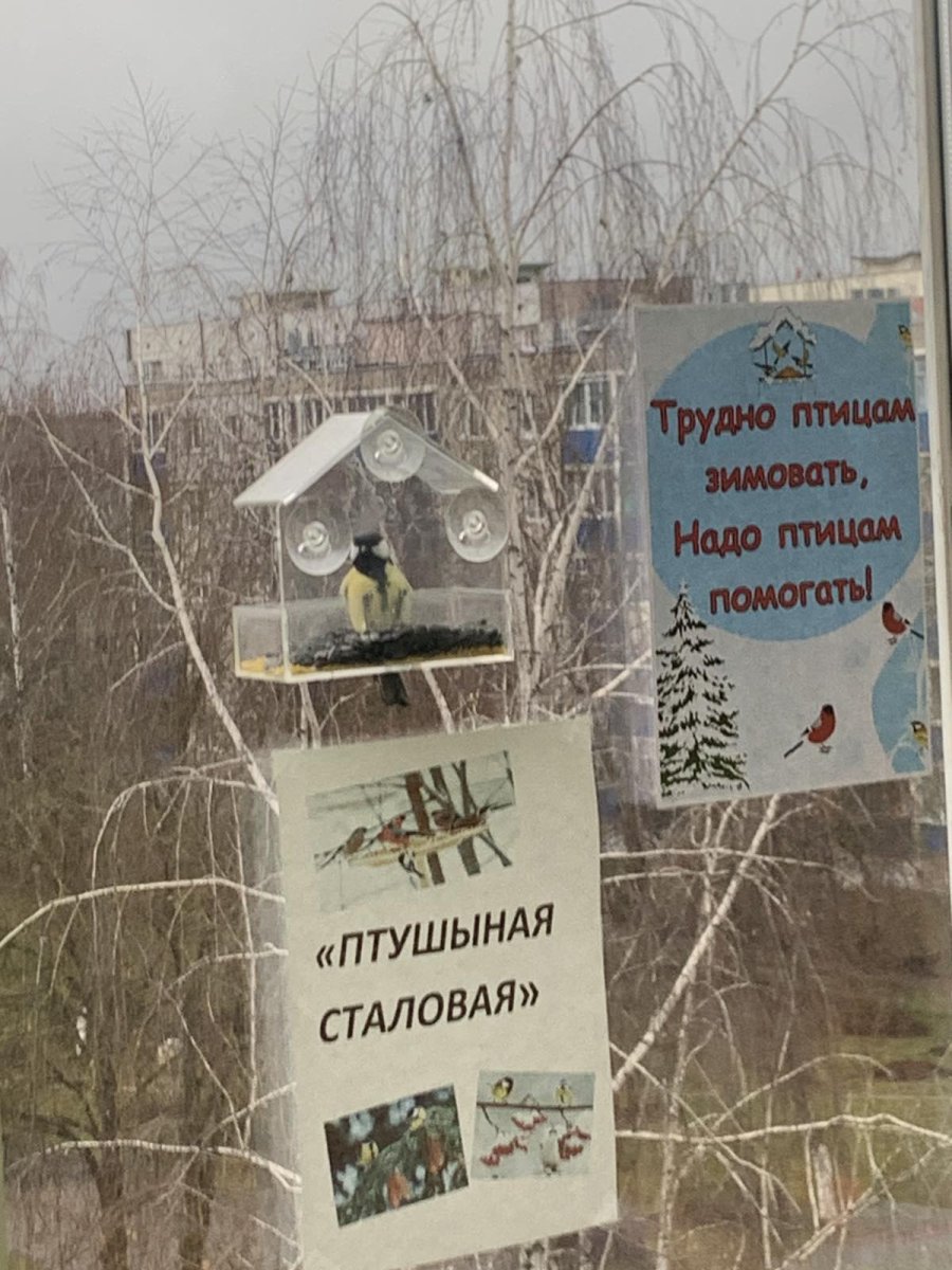 «Столовая» для пернатых друзей