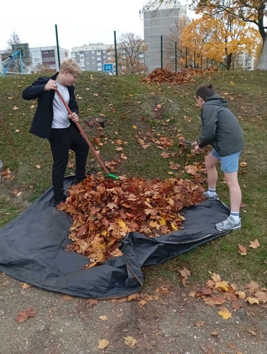 Учащиеся нашей гимназии провели работы по уборке опавшей листвы на территории города