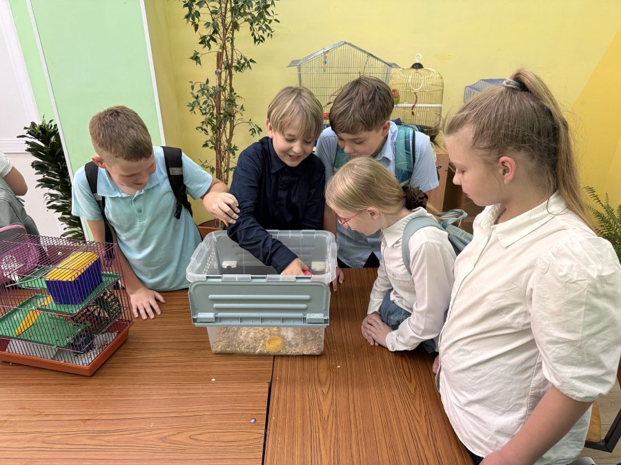 Экскурсия для учащихся V «В» класса #gim 2volk в Центр творчества детей и молодежи