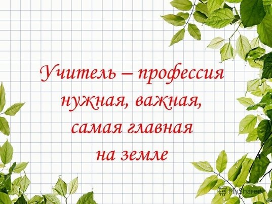 🌟 Почему быть учителем — это круто 🌟